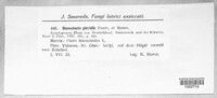 Image Associated With the Occurence